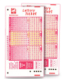 lottery tickets icon